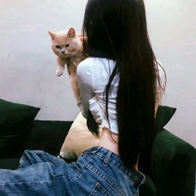 学校怪谈